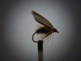 Size 12 Leadwing Coachman Wet